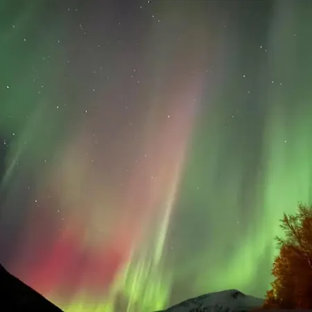 Svartisen Northern Light Alpstuga Bjaerangen